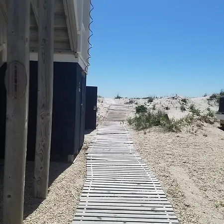 Ocean Front 1St Floor Duplex With Expansive Views In Brant Beach With Private Beach Access 12094